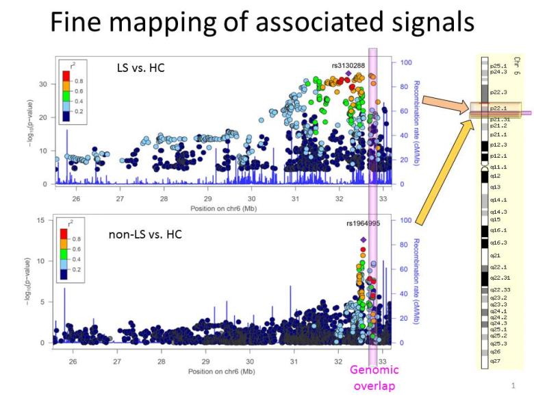 Lofgren syndrome (LS), non-Lofgren syndrome (non-LS), and healthy controls (HC)