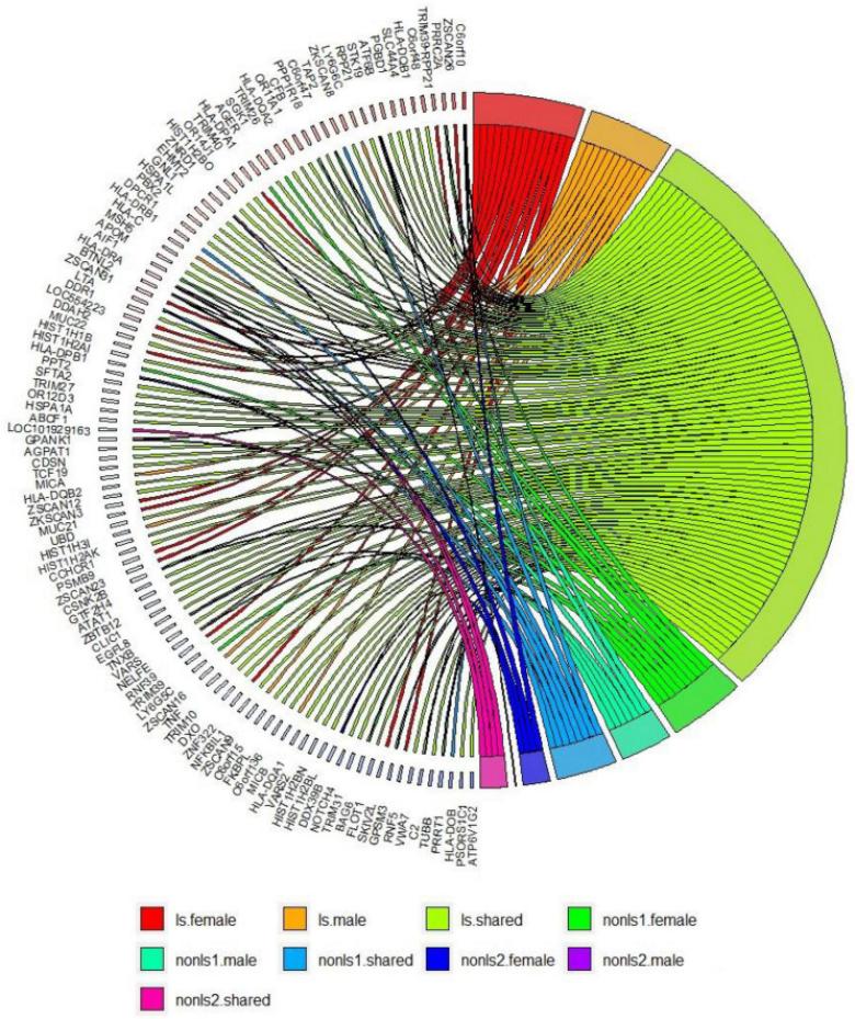Gene-based analysis in LS and non-LS sex groups across all cohorts 